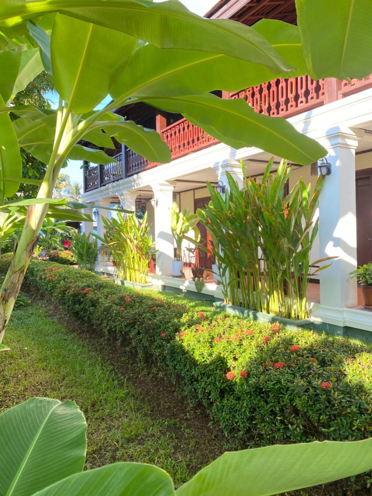 Luang Prabang Residence & Travel Exteriör bild