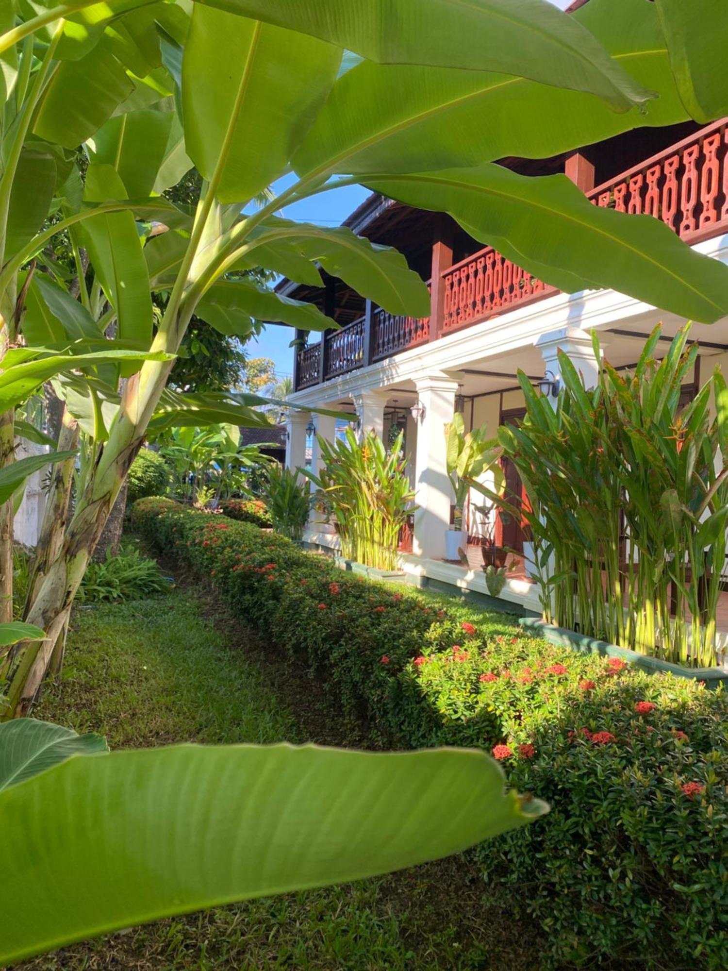 Luang Prabang Residence & Travel Exteriör bild