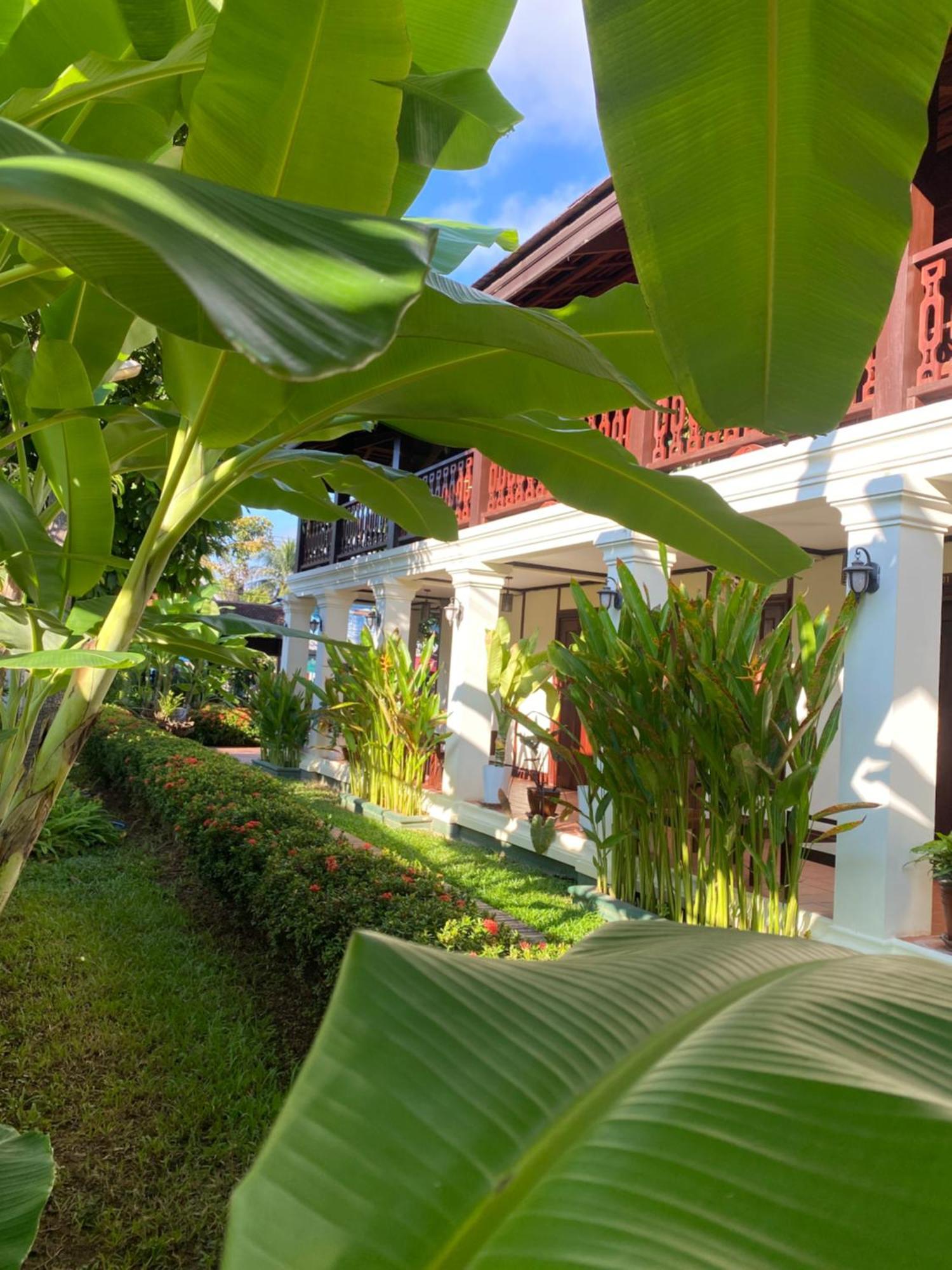 Luang Prabang Residence & Travel Exteriör bild